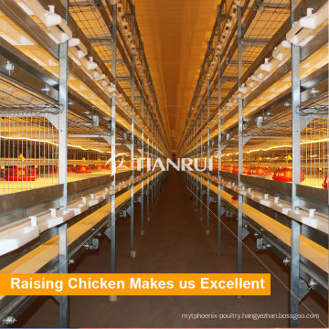Tianrui Design Morden Automatic Broiler Chicken Cage for Sale in Philippines